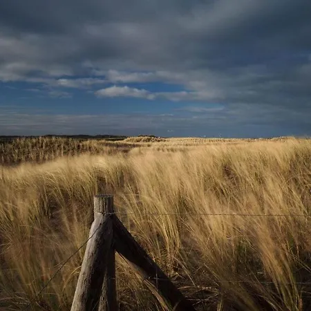 Garnekuul 69 Comfortable *
